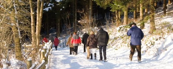 Photo of people walking through a winter woodland